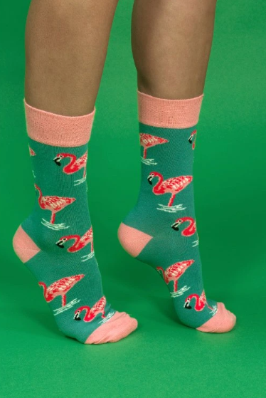 Snímek obrazovky 2026-02-05 134338